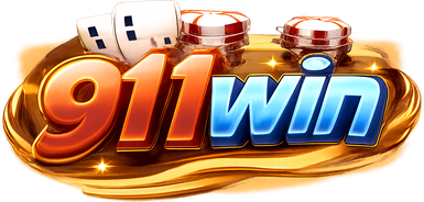 911win logo